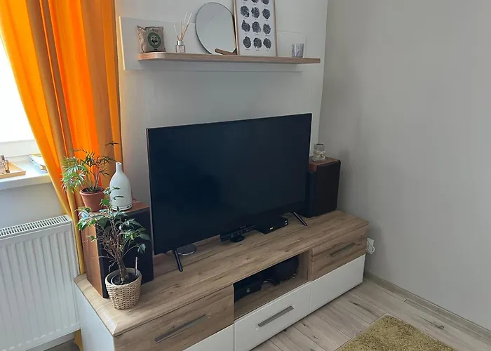 Cozy In Great Location Apartment *