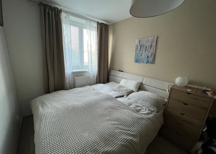 Apartment Cozy In Great Location